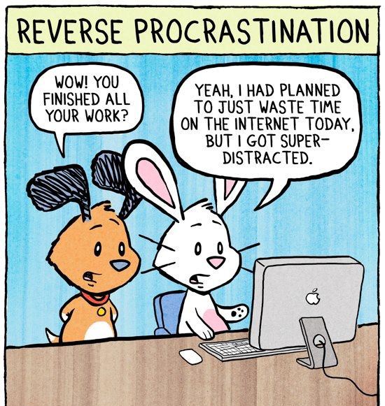 it’s time you forgot about procrastination