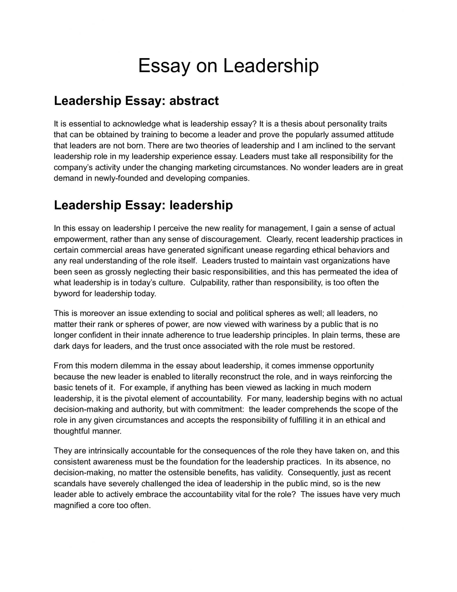 example of a good leadership essay