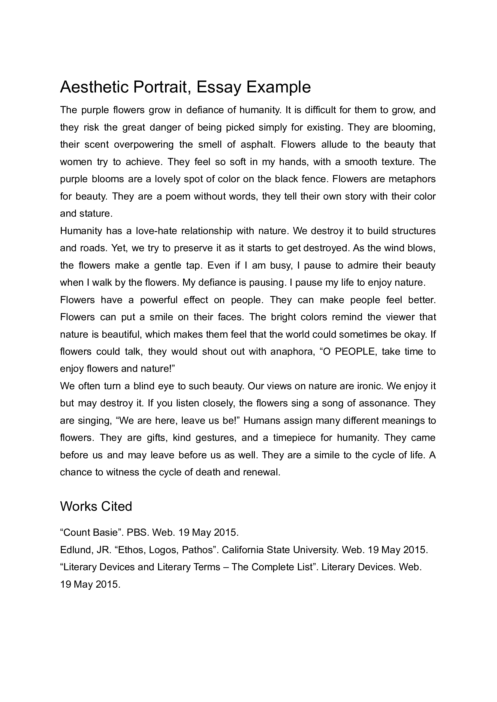 self portrait essay sample